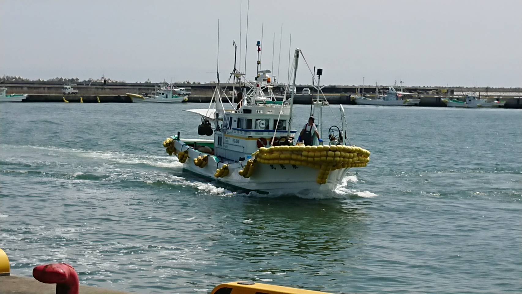 07 02 本日の水揚 シラス漁が始まりました 相馬双葉漁業協同組合